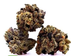 AAAA White Phantom( HOT SALE)