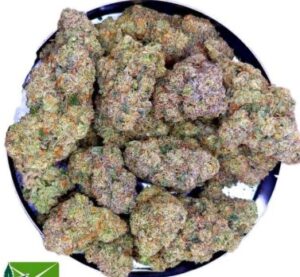 Screenshot 2025-11-06 090205 AAAA+ Banana Cooler