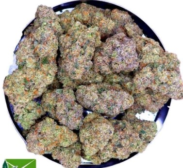 Screenshot 2025-11-06 090205 AAAA+ Banana Cooler