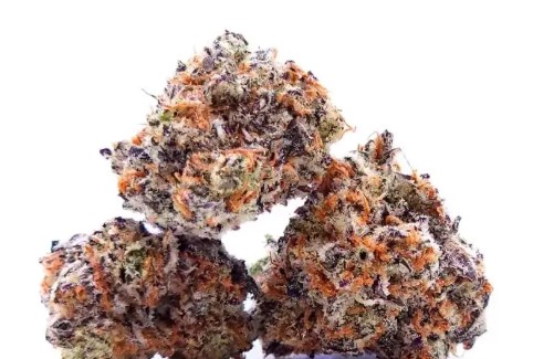 AAA Cherry Diesel Cheesecake